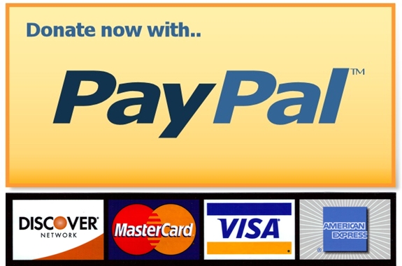 paypal donate button